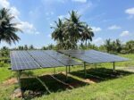 Loom Solar Shark 600W Bifacial Solar Panel (Pack of 2) | TOPCon, N-Type, IP68 - Image 5